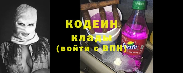 шишки Вяземский